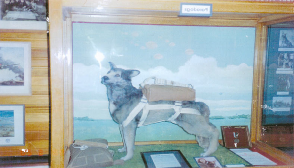 낙하산을 등에 진 공정부대 군견과 무공훈장(오른쪽)