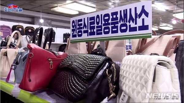 '조선의 오늘' 홈페이지에 게시된 '이 시각 평양 그 한토막'이라는 영상에 지난 9일 촬영된 평양 제1백화점 내부 모습이 담겨 있다. 오른쪽 흰 가방에 샤넬 로고가 보인다.  /뉴시스